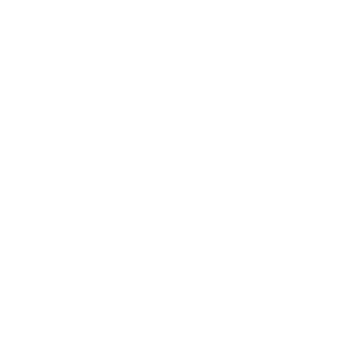 Intrusion Detection