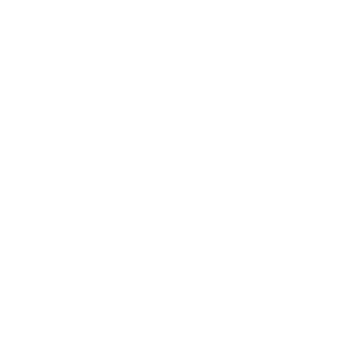 Violent Behavior